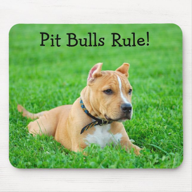 Pit Bulls Reinam Mousepad (Frente)