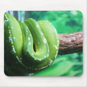 Pitão verde Mousepad da árvore