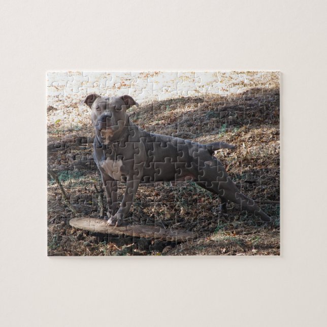 Pitbull com Quebra-cabeça de skate (Horizontal)