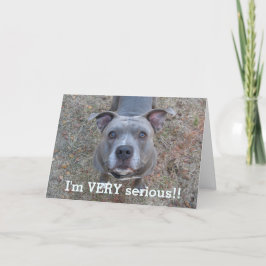 Pitbull Eu sou um cartão de Dia de os pais sério