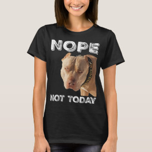 Pitbull - Não Hoje Não, T-Shirt Pitbull Lover T-S