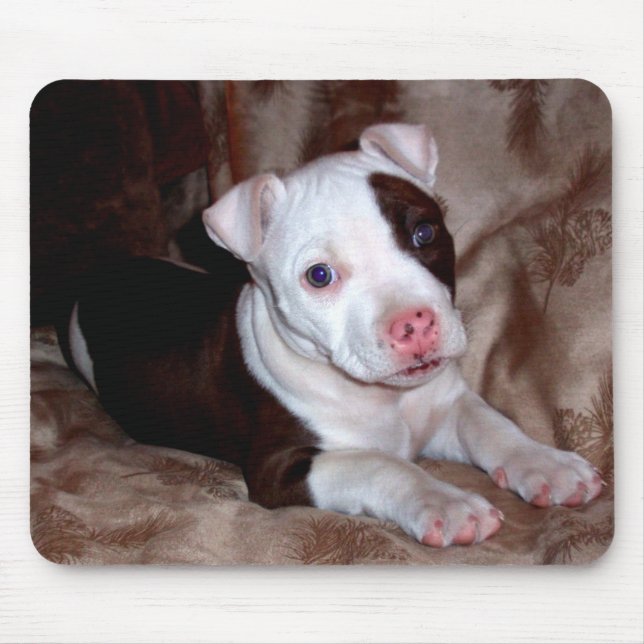 Pitbull Puppy Mousepad (Frente)