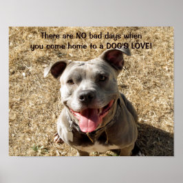 Pitbull Smiling Dog's Love Poster