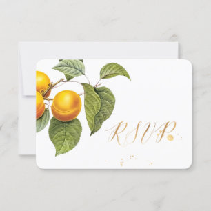 PixDezines RSVP Orchard/Peaches/Redoute