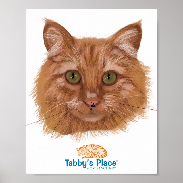 Pixie Portrait Poster (Frente)