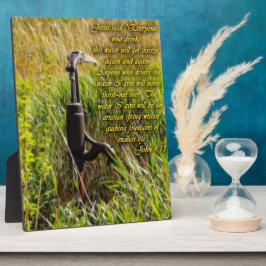 Placa Água viva John 4 Inspiron