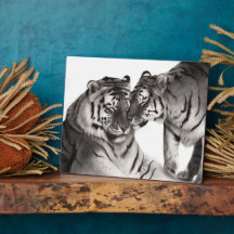 Arte de Animais Selvagens Pintada à Mão de Tigres