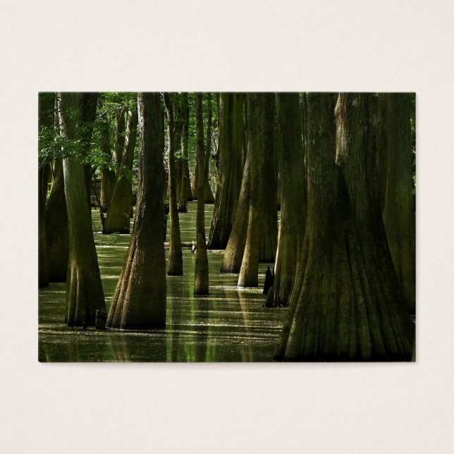 Placa ATC Cypress Swamp (Frente)
