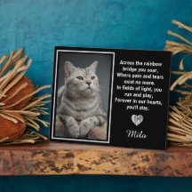 Através da Ponte do Arco-íris Memorial de Cachorro