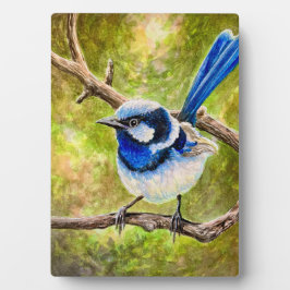 Placa Blue Wren -