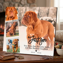 Colagem de Fotos de Memória de Animais de Estimaçã