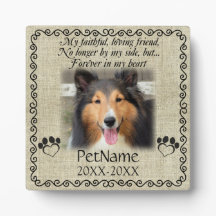 Meu Amigo Fiel Simpatia Pet Personalizado em Lona 