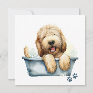 Placa de Cachorro Labradoodle