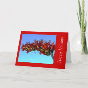 Placa de Cartões de natal de Blooms de Ocotillo Ve