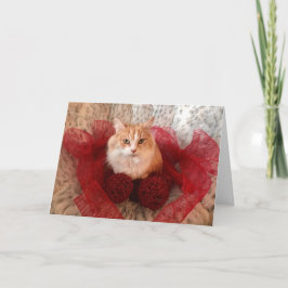 Placa de Cartões de natal Fluffy Cat e Red Ribbon