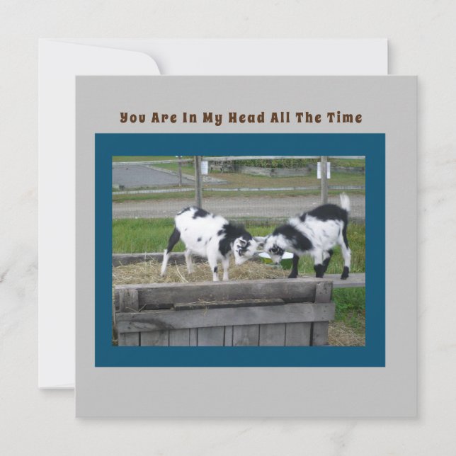 Placa de detecção de gota (Frente)