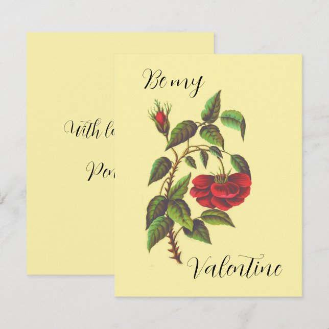 Placa de Dia de os namorados de Rosa vermelha Selv (Frente/Verso)