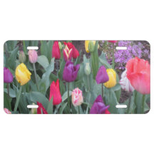 Placa de Licença de Jardim Tulip