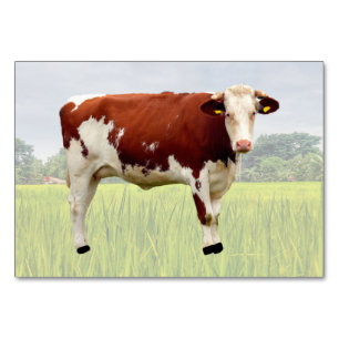 Placa de linha de etiquetas ABA da Vaca   Cartão d