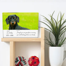 Placa de Memorial de Pet com Foto Presente de Perd