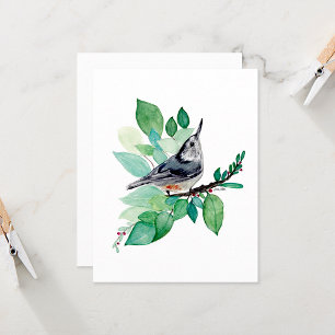 Placa de Nota de Aquarela Elegante Nuthatch