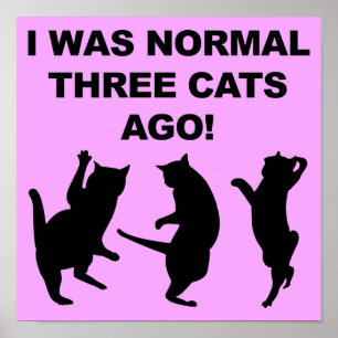 Placa de Poster Engraçado Três Gatos Normais Atrás
