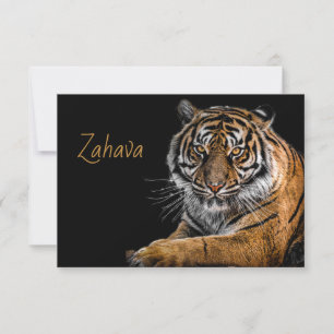 Placa de resposta Tiger do ouro