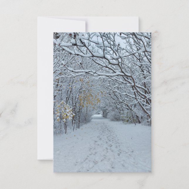 Placa de Vazio do Winter Wonderland Snow Park (Frente)