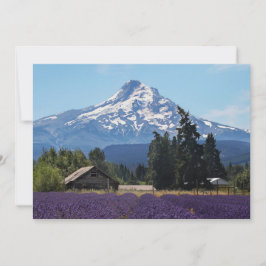 Placa de Vazio dos Campos de Lavanda Mt Hood