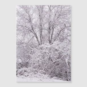 Placa de Vazio Magnética para Neve