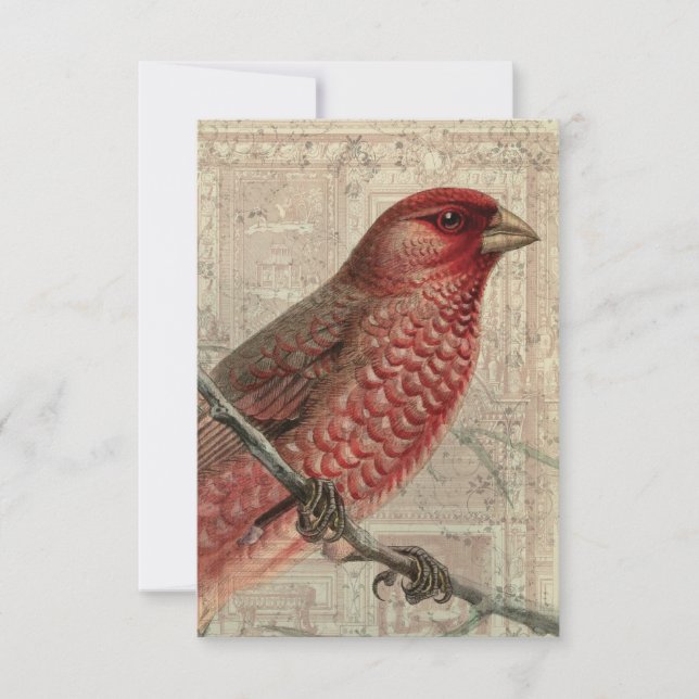 Placa de Vazio Vintage Bird Collage (Frente)