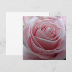 Placa de ventilador Rosa de corte