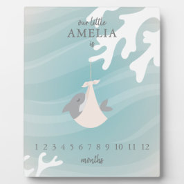 Placa Etapa do Bebê de Tubarão Doce