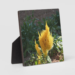Placa Flor de Astilbe Amarelo