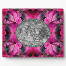 Flor Rosa Hibiscus Crie Sua Própria Foto