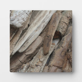 Placa Foto de Driftwood Shoreline