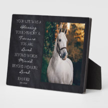 Horse Memorial Pet Perda Remembrance Foto do Caval