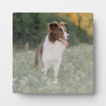 Lembrança Minimalista de Fotos de Perda de Cachorr
