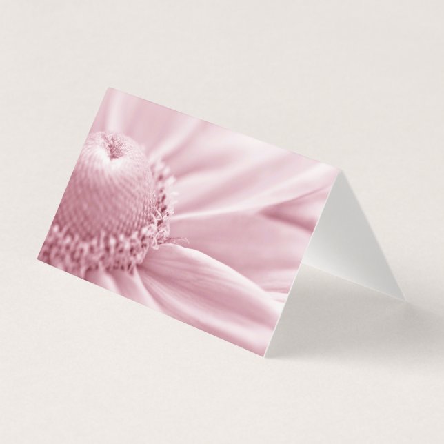 Placa Macro Gloriosa Daisy (Frente)