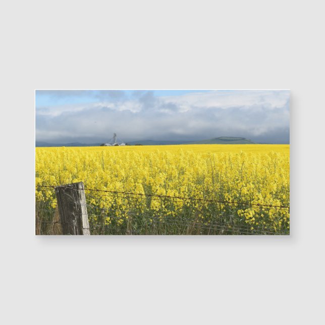 Placa Magnética de Colheita de ouros (Frente)