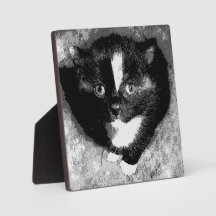 O Observador Silencioso