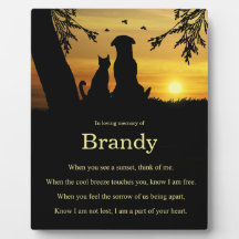 Pet de Gato de Homenagem Memorial com Poema Espiri