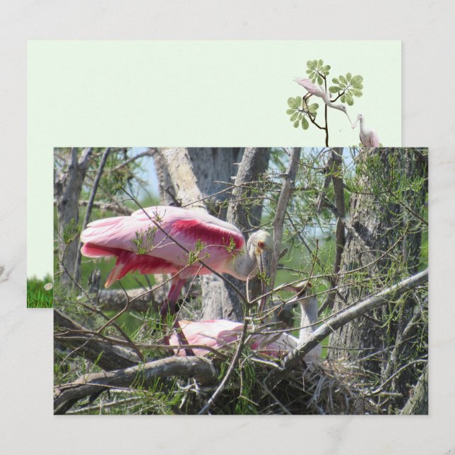 Placa plana de aninhamento para colchão de borda (Frente/Verso)