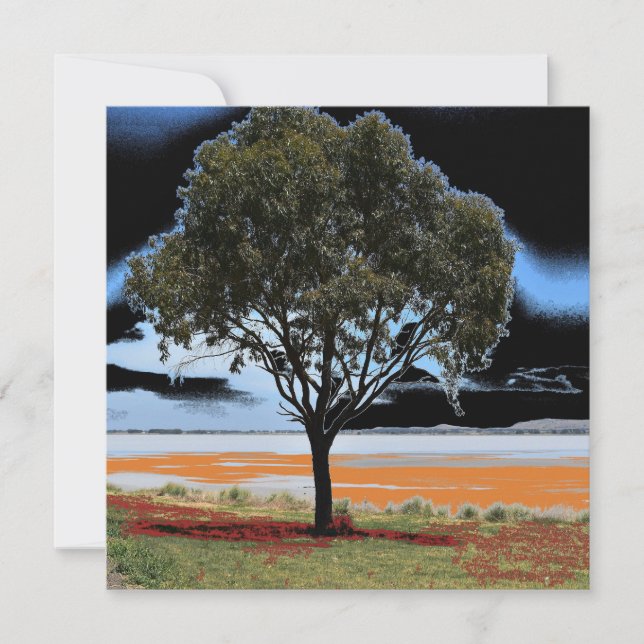 Placa plana de árvore do Lago Beeac Solo (Frente)