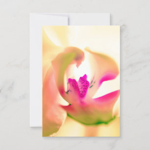 Placa plana de Design de orquídea suave