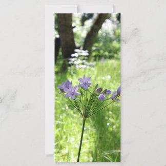 Placa plana de flor selvagem roxa
