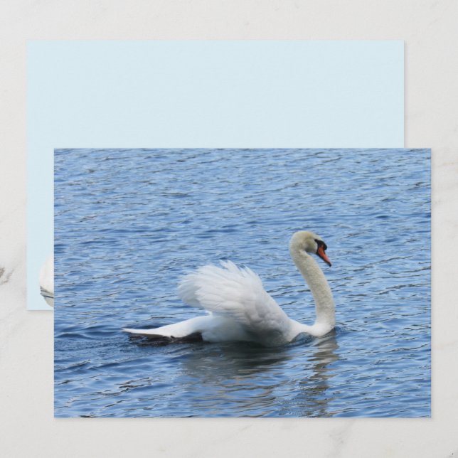 Placa plana de fotos em swan Graceful (Frente/Verso)