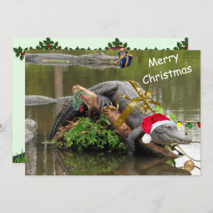 Placa Plana de Natal do Alligator Americano