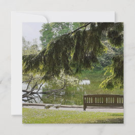 Placa Plana De Pond Ornamental