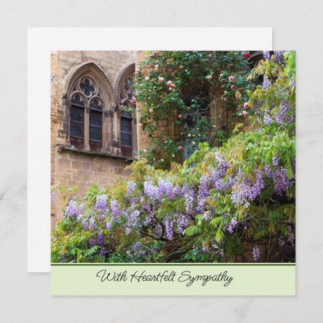 Placa plana de simpatia (Frente/Verso)